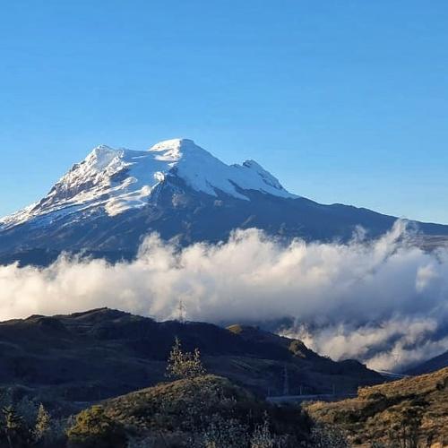 Photo #3584419