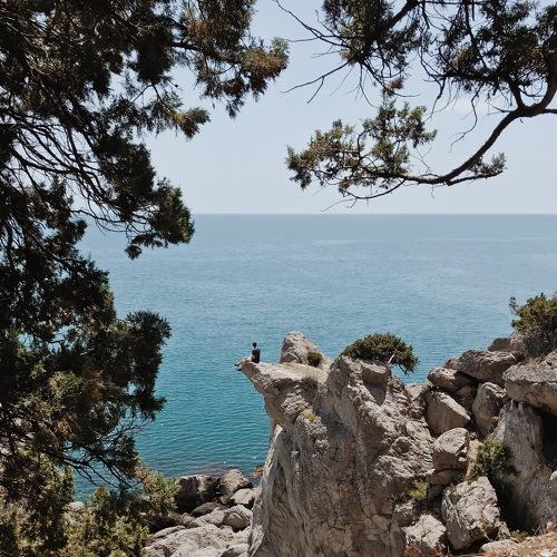 Photo #3584501