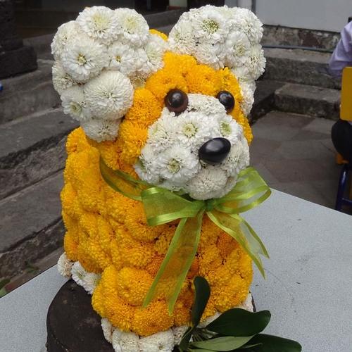 Photo #3584614