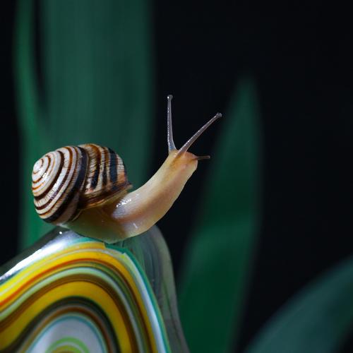 Photo #3584630