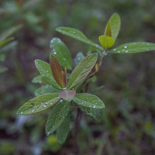 Photo #3584836