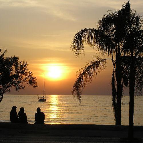 Photo #3585337