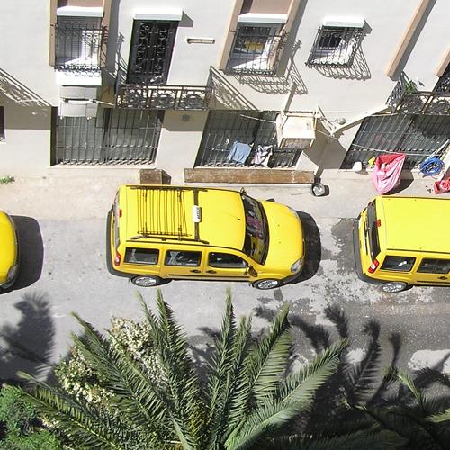 Photo #3585347