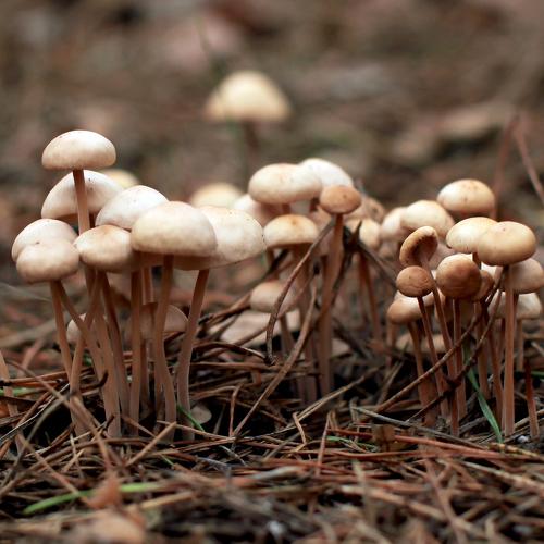 Photo #3585403