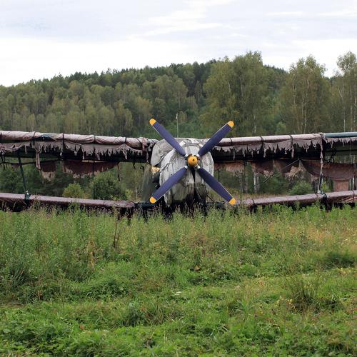 Photo #3585414