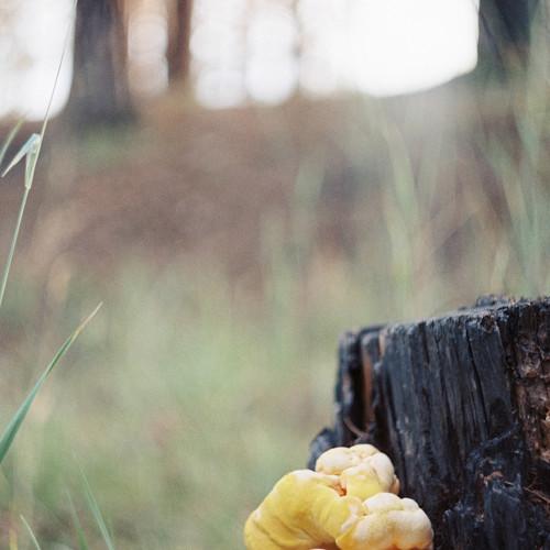 Photo #3585447