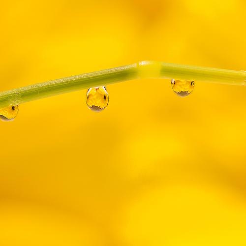 Photo #3585482