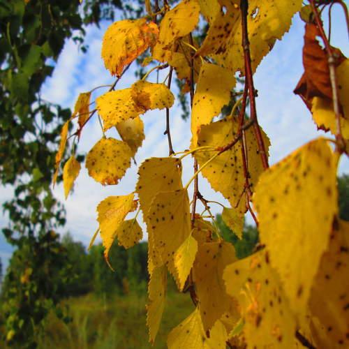 Photo #3585544