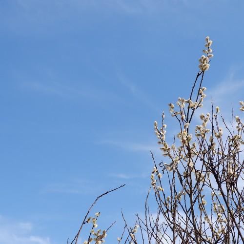 Photo #3585612