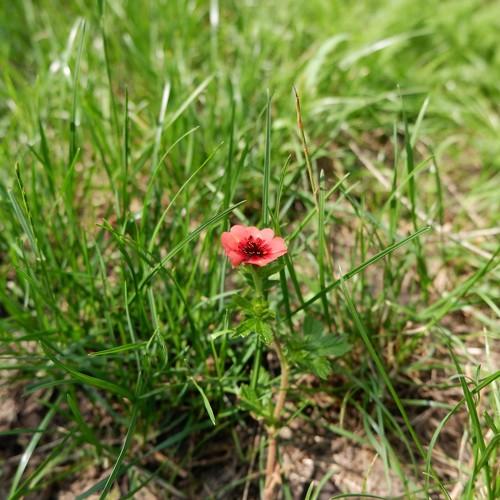 Photo #3585619