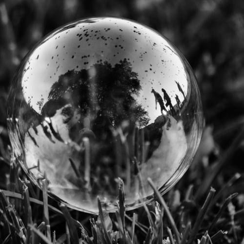 Photo #3585622