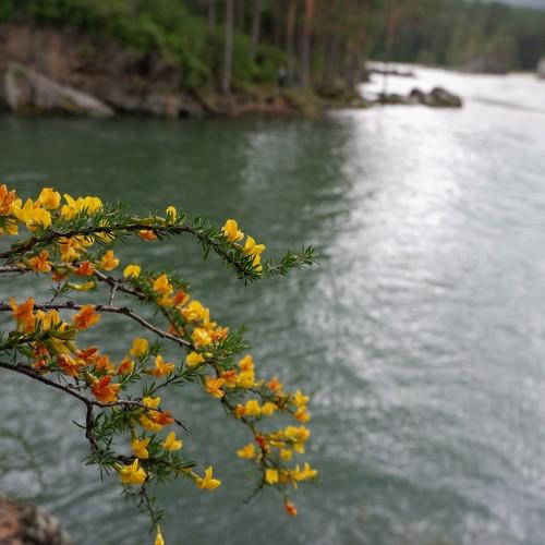 Photo #3585625