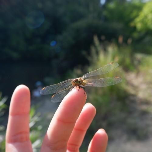 Photo #3585656