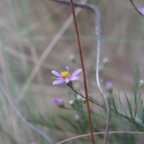 Photo #3585712
