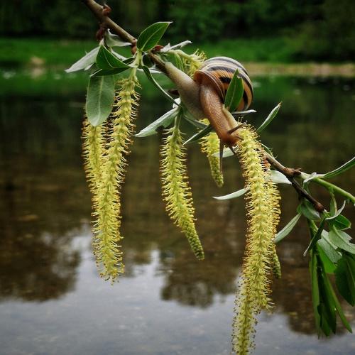 Photo #3585966