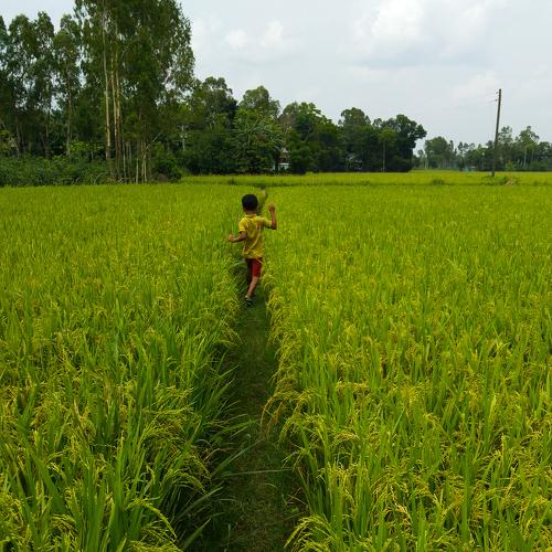 Photo #3586227