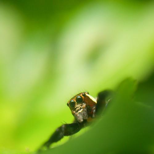 Photo #3586294