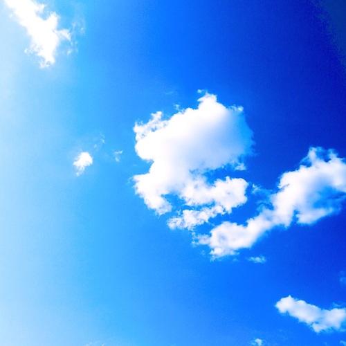 Photo #3586686