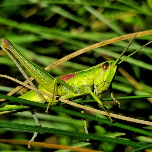 Photo #3586710