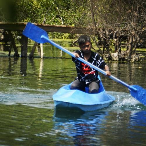 Photo #3586915