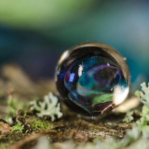 Photo #3587217