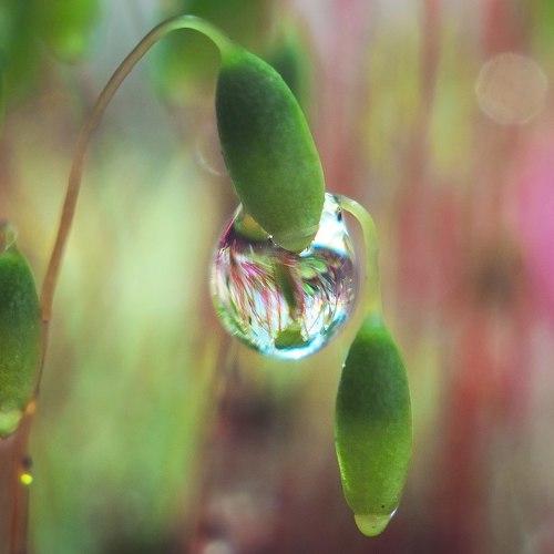 Photo #3587219