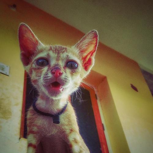 Photo #3587666