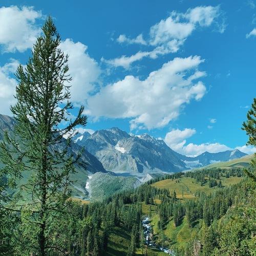 Photo #3587899