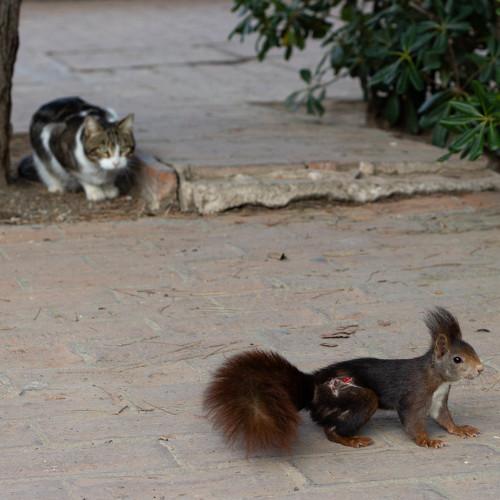 Photo #3588169