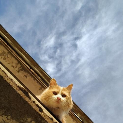Photo #3588475