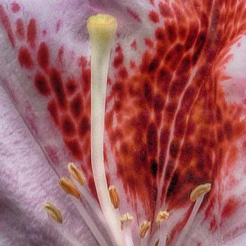 Photo #3588535