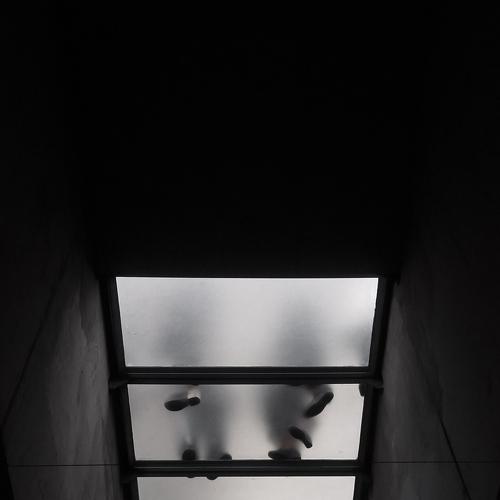 Фотография #3588751