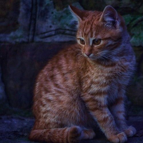 Photo #3588931