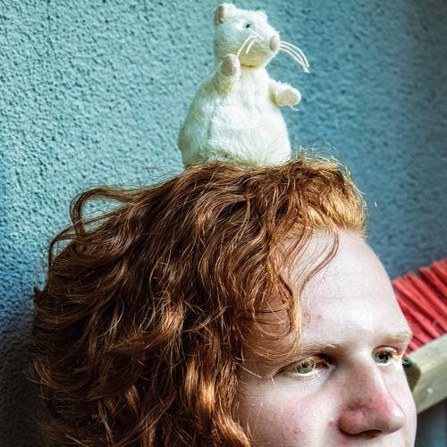 Photo #3588937