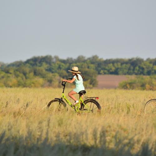 Photo #3588939