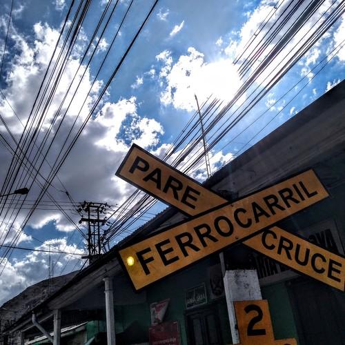 Photo #3589049