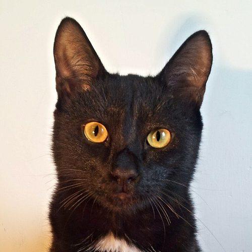 Photo #3589171
