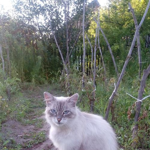 Photo #3589177