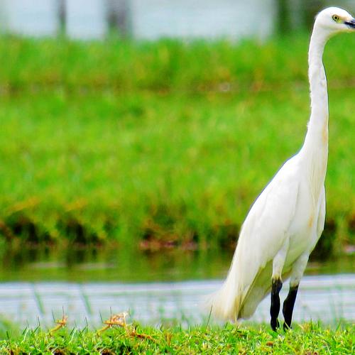 Photo #3589650