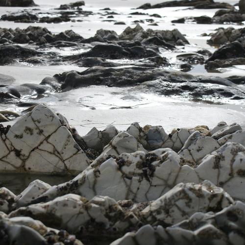 Photo #3589855