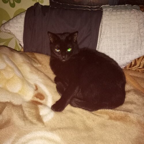 Photo #3589862