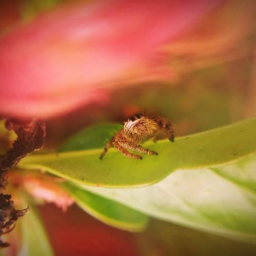 Photo #3589893