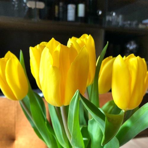 Photo #3590472