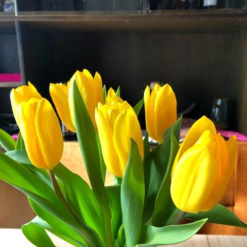 Photo #3590473