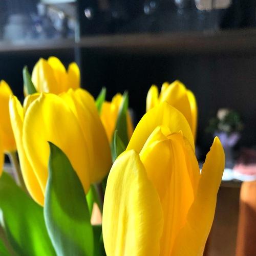 Photo #3590475