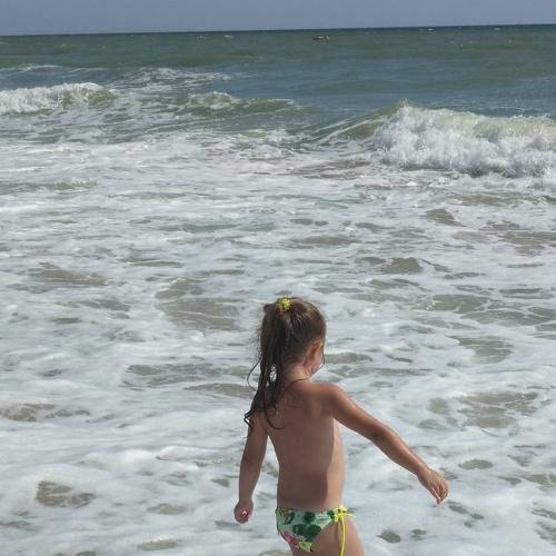 Photo #3591003