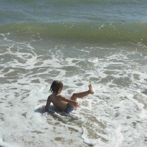 Photo #3591024