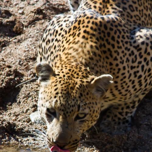 Photo #3591131