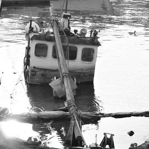 Photo #3591206