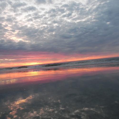 Photo #3591297
